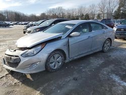 Hyundai Sonata salvage cars for sale: 2013 Hyundai Sonata Hybrid