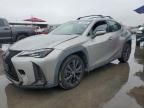 2019 Lexus UX 250H