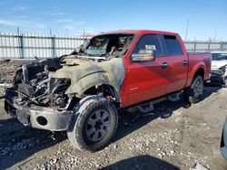 Salvage cars for sale at Cahokia Heights, IL auction: 2012 Ford F150 Supercrew