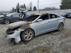 Salvage cars for sale at Graham, WA auction: 2011 Hyundai Sonata GLS