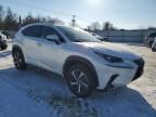 2020 Lexus NX 300