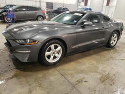 Salvage cars for sale at Avon, MN auction: 2019 Ford Mustang