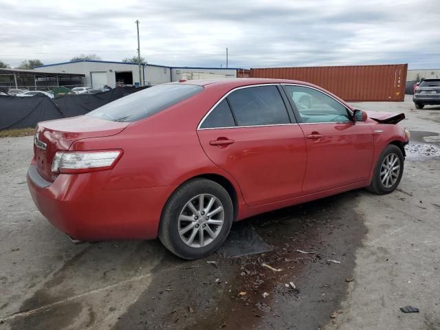 2010 Toyota Camry Hybrid