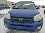 2004 Toyota Rav4