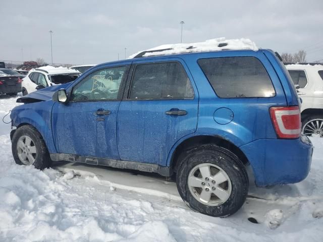 2011 Ford Escape XLT