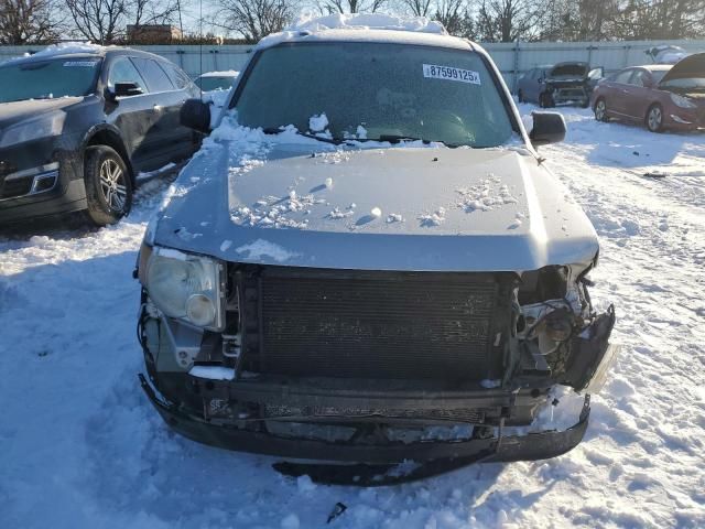 2009 Ford Escape XLT