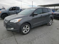 Salvage cars for sale at Anthony, TX auction: 2015 Ford Escape SE