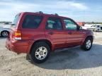 2007 Ford Escape XLT