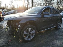 Salvage cars for sale at Waldorf, MD auction: 2023 Audi Q5 Prestige 40