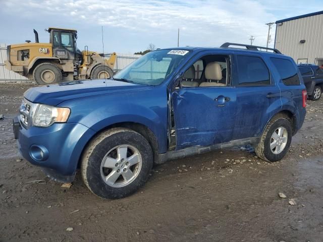 2009 Ford Escape XLT