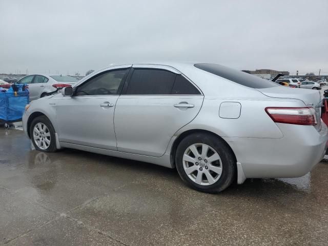 2009 Toyota Camry Hybrid