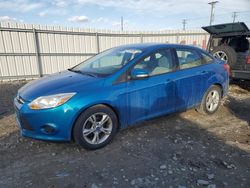 Salvage cars for sale at Appleton, WI auction: 2013 Ford Focus SE