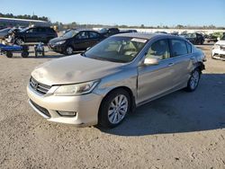 Salvage cars for sale at Harleyville, SC auction: 2013 Honda Accord EXL