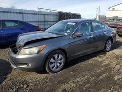 Salvage cars for sale at Windsor, NJ auction: 2009 Honda Accord EXL