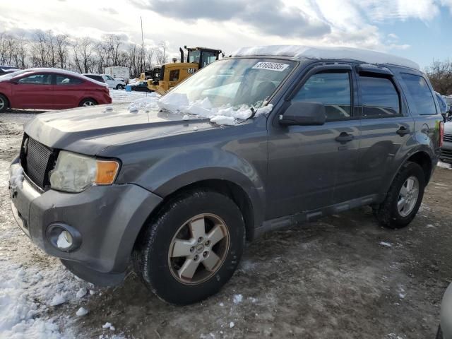 2011 Ford Escape XLT