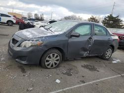 Salvage cars for sale at auction: 2010 Toyota Corolla Base