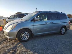 Honda Vehiculos salvage en venta: 2006 Honda Odyssey EXL