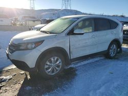 Salvage cars for sale at Littleton, CO auction: 2014 Honda CR-V EX