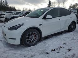 Salvage cars for sale from Copart Ontario Auction, ON: 2022 Tesla Model Y