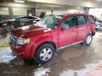 2010 Ford Escape XLS