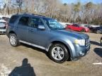 2010 Ford Escape Limited