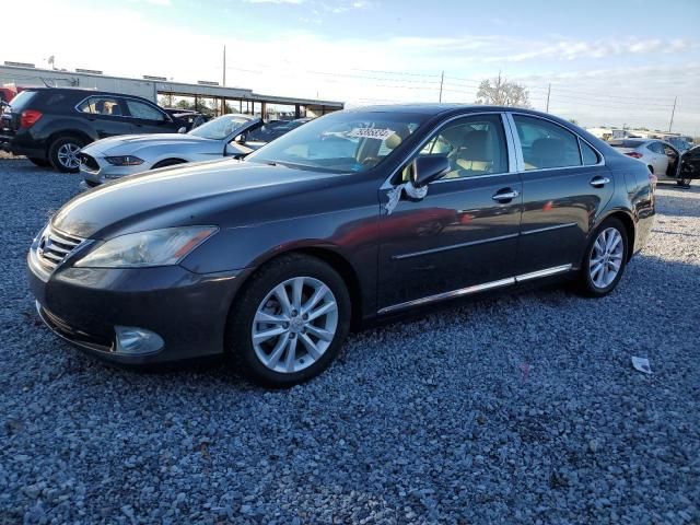 2010 Lexus ES 350