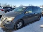 2007 Honda Odyssey EXL