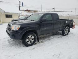 Salvage cars for sale at Northfield, OH auction: 2011 Toyota Tacoma Access Cab