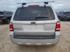 2008 Ford Escape XLS