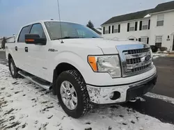 Ford Vehiculos salvage en venta: 2014 Ford F150 Supercrew