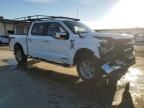 2024 Ford F150 XLT