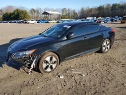 KIA Optima salvage cars for sale: 2013 KIA Optima Hybrid