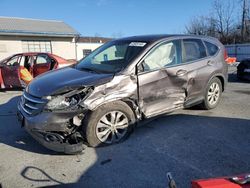 Salvage cars for sale at Grantville, PA auction: 2013 Honda CR-V EX