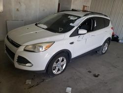 Salvage cars for sale from Copart Cicero, IN: 2013 Ford Escape SE