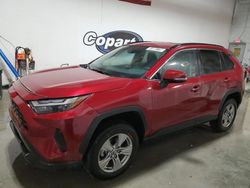 Salvage cars for sale at Greenwood, NE auction: 2023 Toyota Rav4 XLE