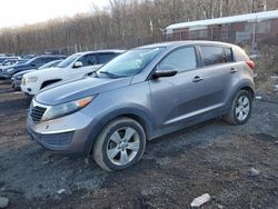 Salvage cars for sale at Baltimore, MD auction: 2012 KIA Sportage Base