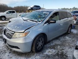 Salvage cars for sale at Windsor, NJ auction: 2012 Honda Odyssey EXL