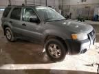 2006 Ford Escape XLT