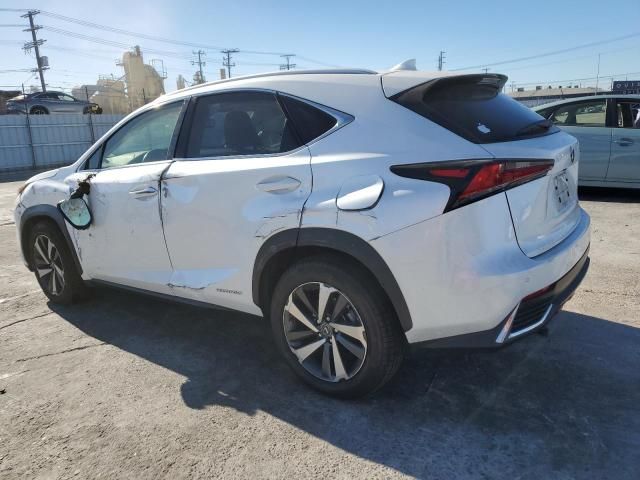 2019 Lexus NX 300H