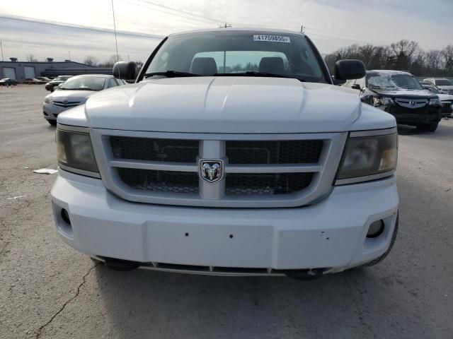 2010 Dodge Dakota SXT