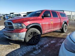 Salvage cars for sale from Copart Brighton, CO: 2012 Dodge RAM 1500 SLT