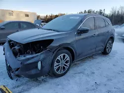 Salvage cars for sale at Cookstown, ON auction: 2020 Ford Escape SEL