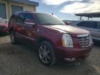 2011 Cadillac Escalade Premium