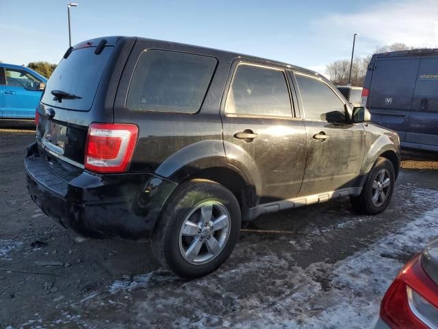 2010 Ford Escape XLS