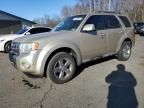 2010 Ford Escape Limited