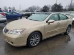 2009 Lexus ES 350