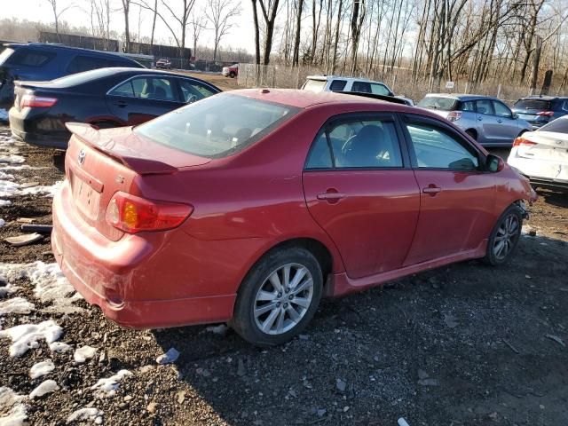 2010 Toyota Corolla Base