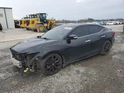 Nissan salvage cars for sale: 2017 Nissan Maxima 3.5S