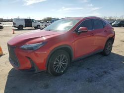 Salvage cars for sale at Houston, TX auction: 2024 Lexus NX 250 Premium