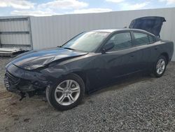 Rental Vehicles for sale at auction: 2023 Dodge Charger SXT